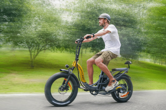 Dolphin Folding Electric Bike for College Students