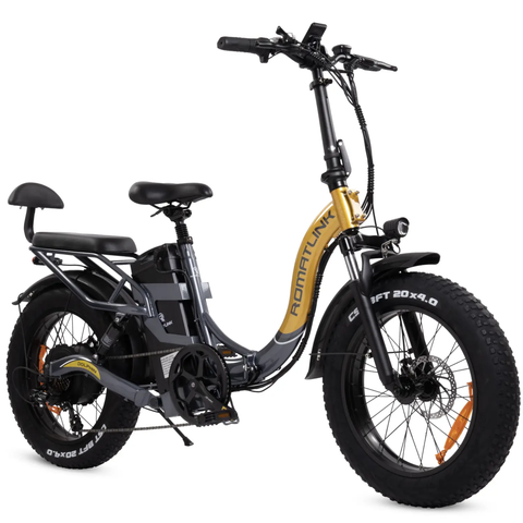 Romatlink Dolphin 20'' Folding Electric Bike : 48V 750W 4.0" Fat Tire